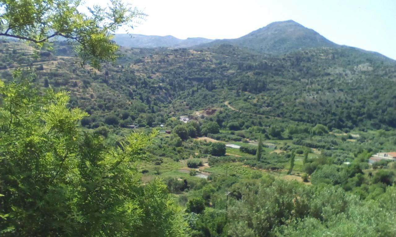 Kampos View Ikaria Appartement Eudilos Buitenkant foto